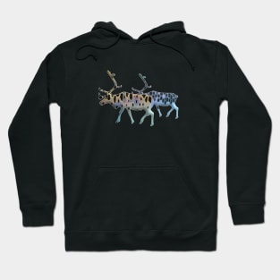 Raindeer IV Hoodie